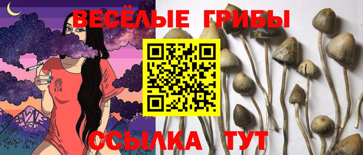 Галлюциногенные грибы мухоморы Урус-Мартан