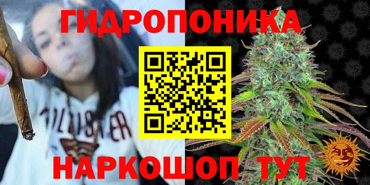 Бошки Шишки марихуана Урус-Мартан